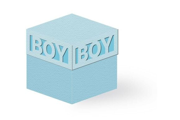 Baby Boy Word Cut out Lid Cube Favor Box: 3D SVG