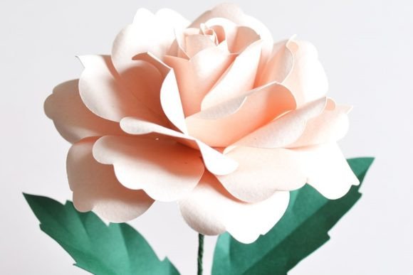 Garden Rose Paper Flower: 3D SVG for Paper Flowers