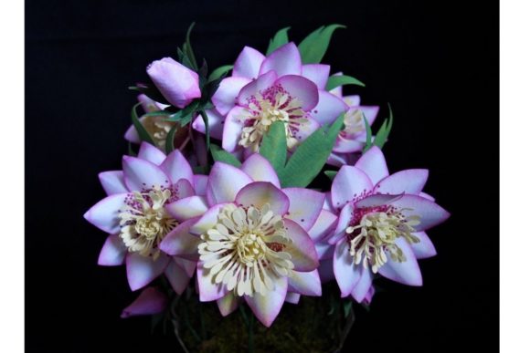 Hellebore Paper Flower Templates: 3D SVG for Paper Flowers