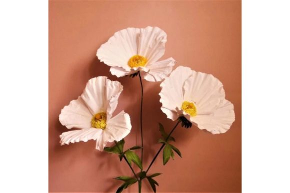 Matilija Poppy Paper Flowers Templates: 3D SVG for Branding