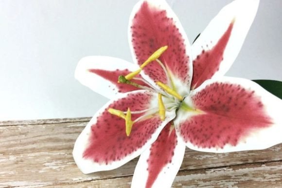 Stargazer Lily Paper Flower: 3D SVG Flowers for Editorial Design